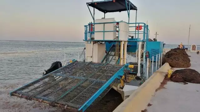 Embarcación sargacera en Mahahual