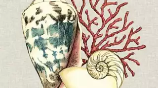 El pasado 18 de noviembre se cumplieron 4 años del fallecimiento de la escritora