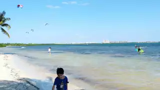 Lleva a tu mascota a Playa Coral, la única pet frendly