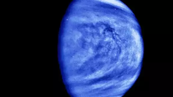 Venus albergaría vida microbiana; hallan gas fosfano (Reuters) Venus albergaría vida microbiana; hallan gas fosfano (Reuters)
