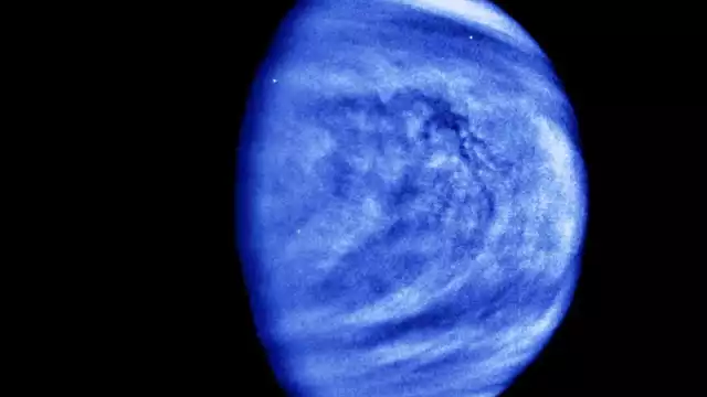 Venus albergaría vida microbiana; hallan gas fosfano (Reuters)