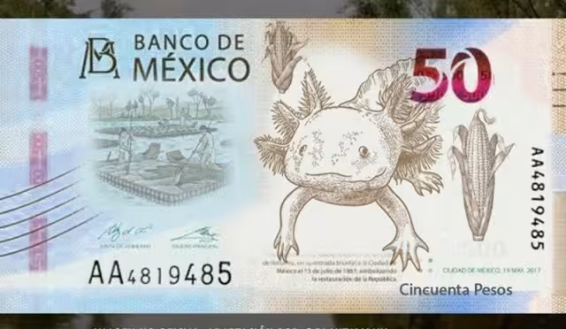 ¿Por qué dejará de circular cierto billete de 50 pesos?