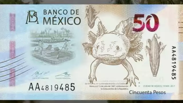 ¿Por qué dejará de circular cierto billete de 50 pesos?
