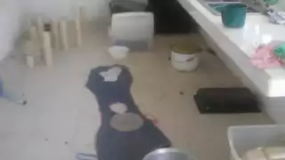 El jardín de niños "Nueva Generación" fue saqueada por amantes de lo ajeno en Chetumal Foto: Abraham Cohuó