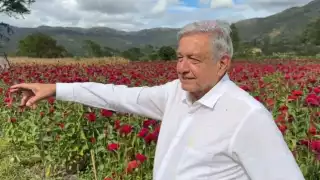 El presidente Andrés Manuel López Obrador resalta la temporada de flores con motivo del Día de Muertos