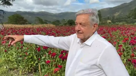 El presidente Andrés Manuel López Obrador resalta la temporada de flores con motivo del Día de Muertos El presidente Andrés Manuel López Obrador resalta la temporada de flores con motivo del Día de Muertos