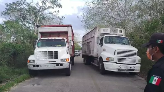 Dos camiones con 17 reses cada uno fueron detenidos por la Policía Municipal de Espita