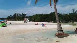 Corporativo Balam Kan, el negocio familiar del líder de la CTM en Quintana Roo