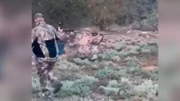 Video del ataque de búfalo a cazador mexicano