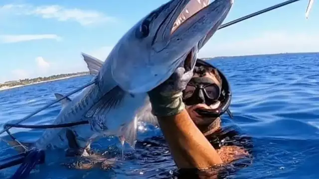 La actividad en el Estado no es nueva, en Playa Del Carmen, incluso, se realizan competiciones nacionales. En la Isla es una cuestión recreativa para los visitantes