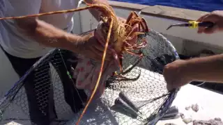 Fotos: Raquel Margarita Huerta