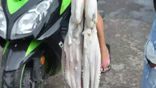 Foto: Fernando Kantún