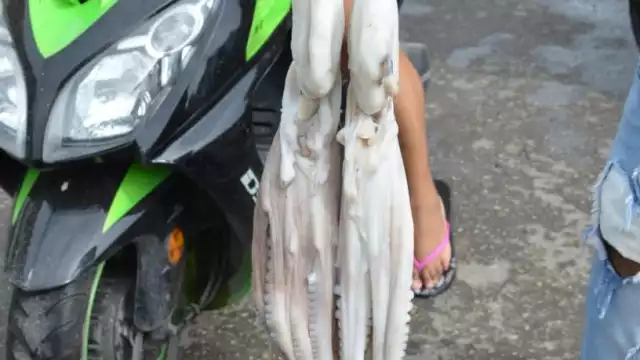 Foto: Fernando Kantún