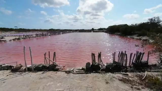 De 113 charcas, sólo 33 producen; las otras tienen fauna