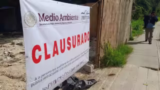 Clausuran desmonte de selva en Xcalacoco por afectaciones al corredor del mono araña