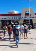 Conectividad básica resiste, lujo se desploma