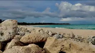 Esta playa tiene una vista bellísima