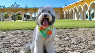 En su cuenta de Instagram, Rosco presume sus viajes alrededor del mundo