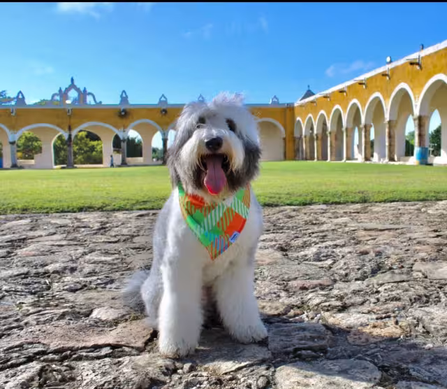 En su cuenta de Instagram, Rosco presume sus viajes alrededor del mundo