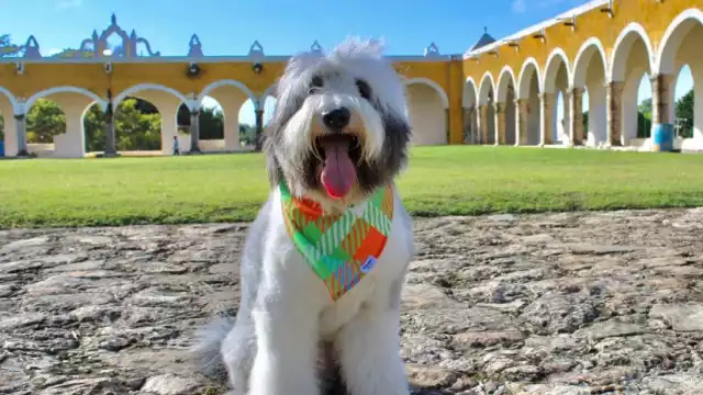 En su cuenta de Instagram, Rosco presume sus viajes alrededor del mundo