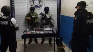 Clausuran Animalandia Maya, en Playa del Carmen, por venta de drogas