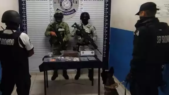 Clausuran Animalandia Maya, en Playa del Carmen, por venta de drogas
