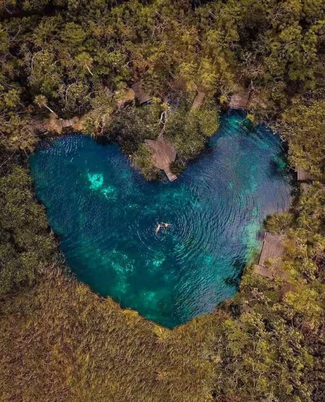 Uno de los cenotes en Tulum es ideal para pasar un rato agradable con tu pareja este Día del Amor y la Amistad