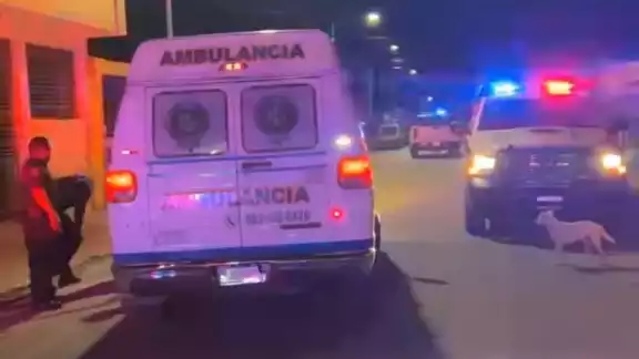 Los hechos ocurrieron en el fraccionamiento Caribe Los hechos ocurrieron en el fraccionamiento Caribe