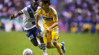 Tigres logró una abultada victoria