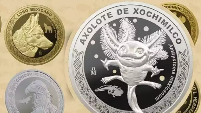¿Dónde comprar la moneda conmemorativa del 'Ajolote de Xochimilco'?