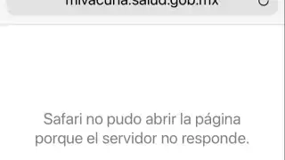 Ninguno de los buscadores disponibles dio acceso a la página presentada