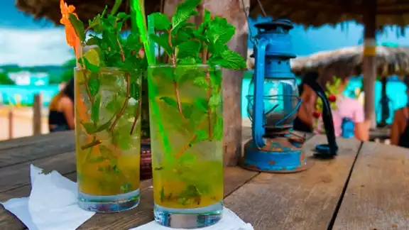 El mojito fue creado por el corsario Sir Francis Drake El mojito fue creado por el corsario Sir Francis Drake