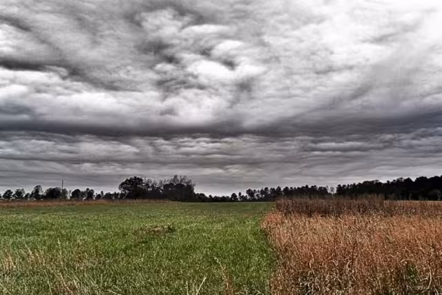 Las cabañuelas son una práctica ancestral usada tradicionalmente por agricultores para predecir las condiciones del clima a lo largo del año