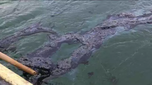 PEMEX envía investigadores a plataforma Akal-C1, pero afirman que se trata de “chapopoteras naturales” PEMEX envía investigadores a plataforma Akal-C1, pero afirman que se trata de “chapopoteras naturales”