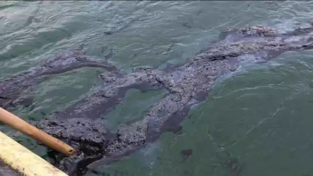 PEMEX envía investigadores a plataforma Akal-C1, pero afirman que se trata de “chapopoteras naturales”