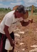 Rafael Cauich mantiene viva tradición agrícola ancestral