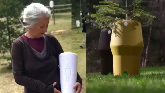 Previo a tu muerte o a través de tus familiares podrás elegir el tipo de árbol en que se preservarán tus restos