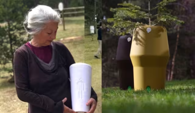 Previo a tu muerte o a través de tus familiares podrás elegir el tipo de árbol en que se preservarán tus restos