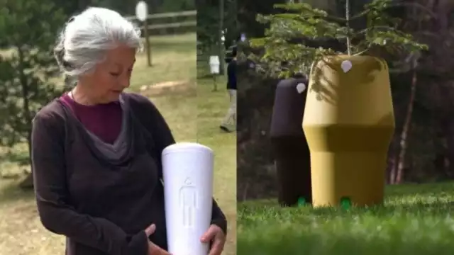 Previo a tu muerte o a través de tus familiares podrás elegir el tipo de árbol en que se preservarán tus restos