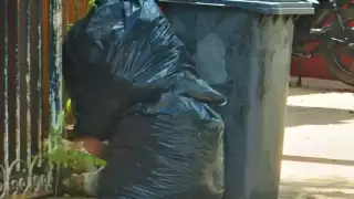 El servicio de recoja de basura se ha estado retrasando mucho