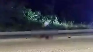 El hombre falleció al instante; el causante huyó