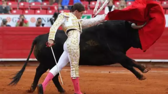 Se espera que la ley se aprobada para castigar estos eventos Se espera que la ley se aprobada para castigar estos eventos