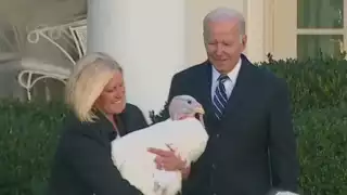 El presidente de Estados Unidos, Joe Biden, perdonó  a dos enormes pavos que ya no se convertirán en el plato principal durante el Día de Acción de Gracias