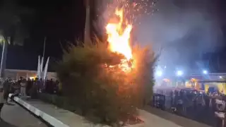 Torito de las fiestas de Hecelchakán desata incendio de un árbol