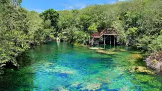 Cinco cenotes de la Riviera Maya que no conocías