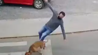 Perro arrolla a un hombre y huye del lugar