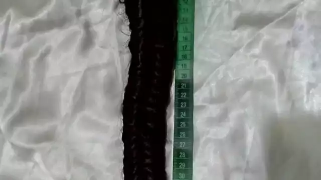 La vendedora indicó que la trenza mide 42 centímetros; le recomendaron ir a ofertarla al Mercado Forjadores de Chetumal