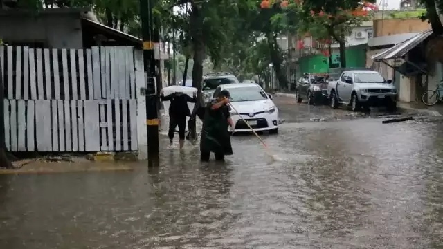 Durante la limpieza de alcantarillas encontraron ramas de árboles y basura que el agua arrastró