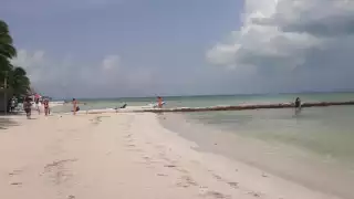 Holbox registra un 80 por ciento de afluencia turística y hoteleros esperan llegar al 100 por ciento el fin de semana