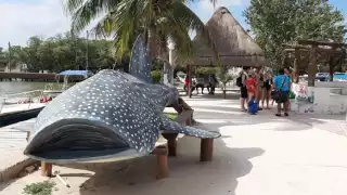 Los cierres constantes a la navegación por los temporales han perjudicado sus ingresos.